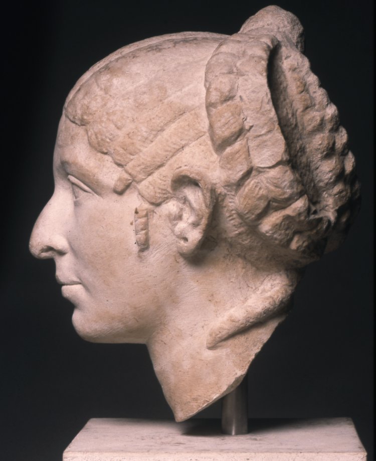 Image result for nose of cleopatra